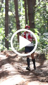 BIB:  <button type="button" onclick="openModal(26569329)" class="btn btn-primary btn-sm float-right" data-toggle="modal" data-target=".modal-high-quality">
                <i class="fa fa-download"></i> Download
                </button>